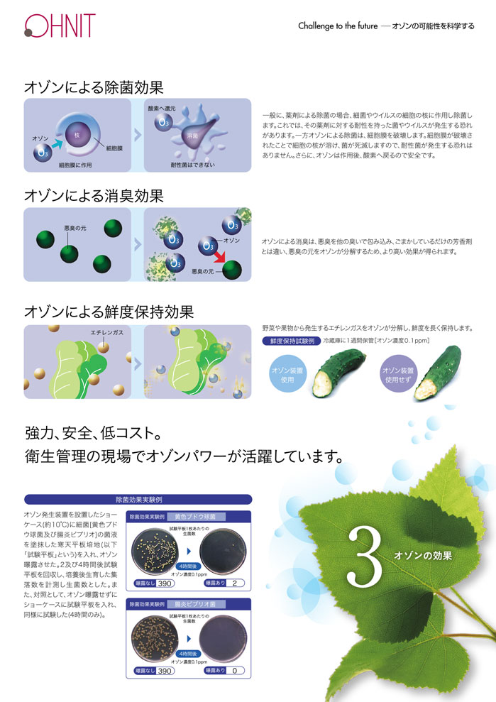 オゾンによる除菌効果